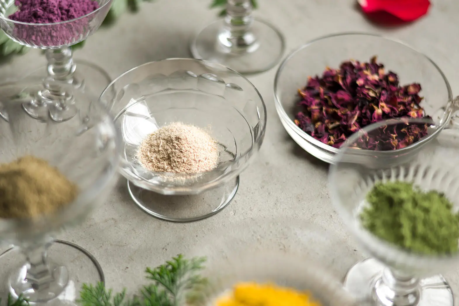 About phyto steam フィトスチームについて