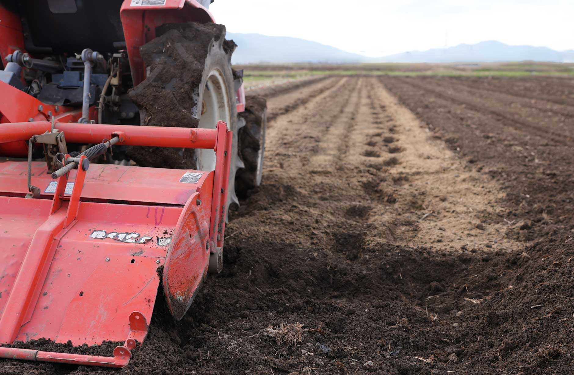 新しいよもぎ蒸し：フィトスチーム