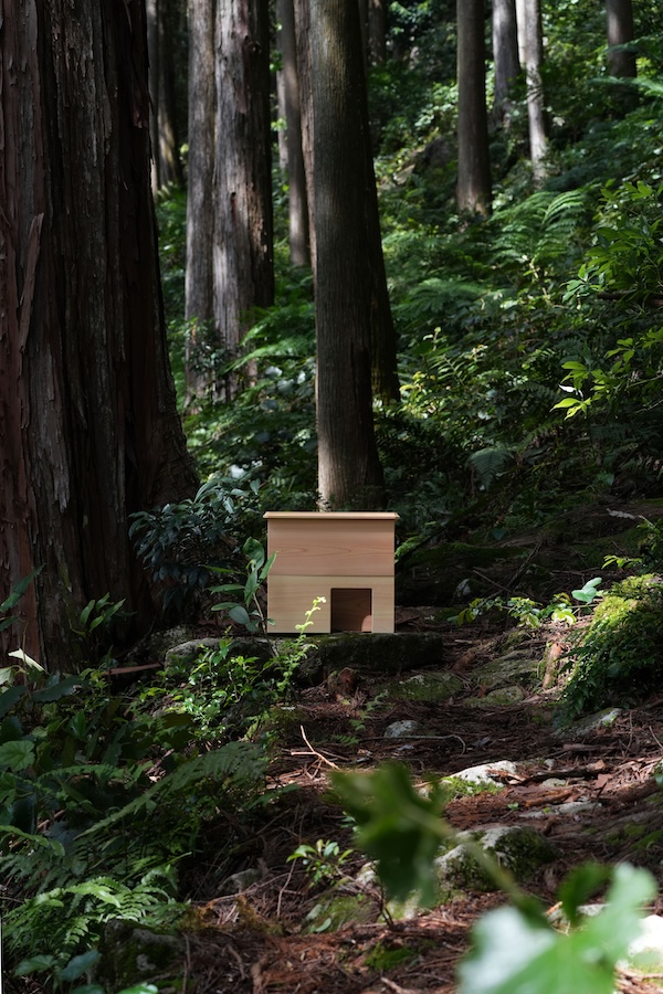 新しいよもぎ蒸し：フィトスチーム