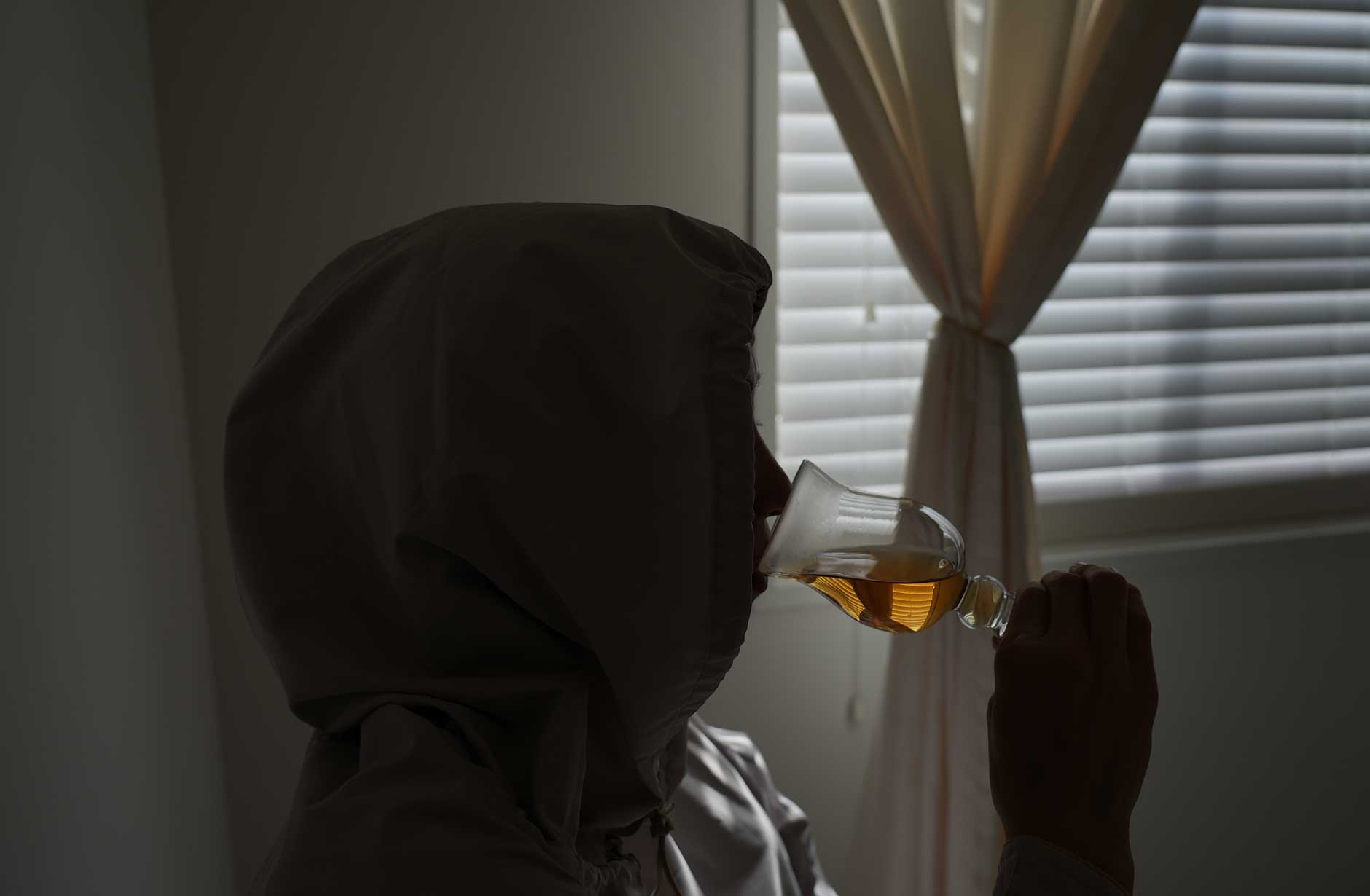 フィトスチーム新しいよもぎ蒸し