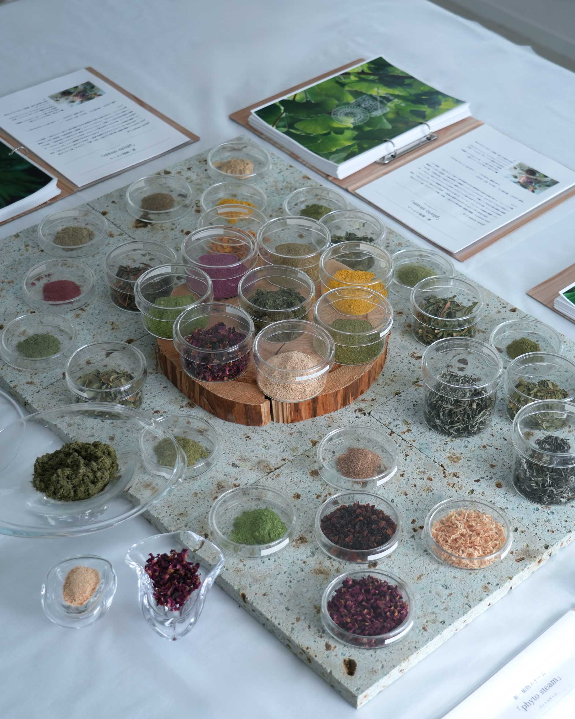 フィトスチーム新しいよもぎ蒸し