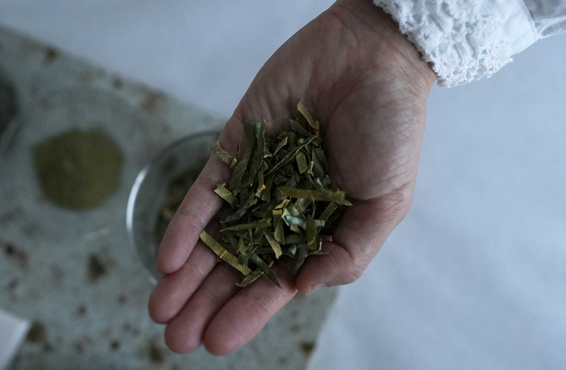 新しいよもぎ蒸しフィトスチームビワの花