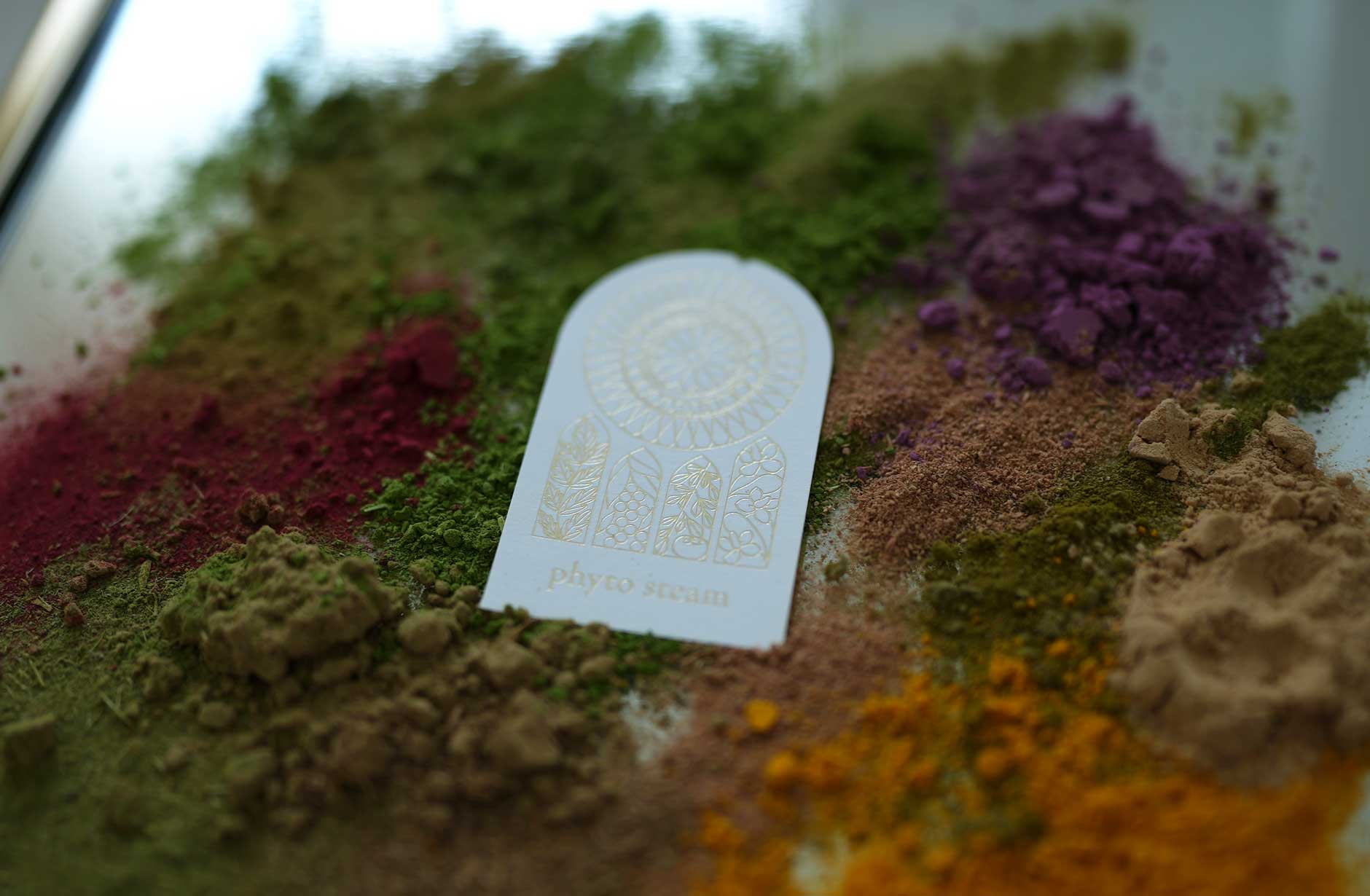 新しいよもぎ蒸しフィトスチーム