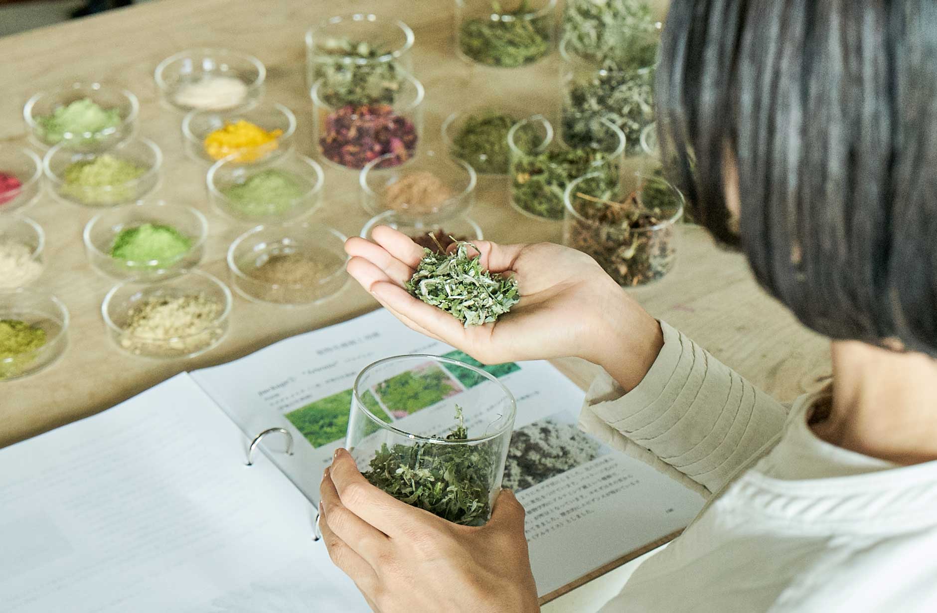 フィトスチーム導入資格認定講座