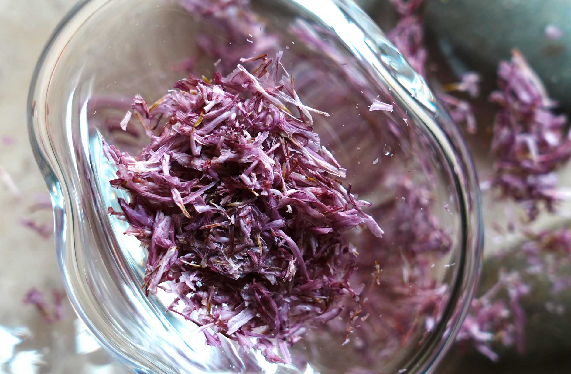 新しいよもぎ蒸しフィトスチーム